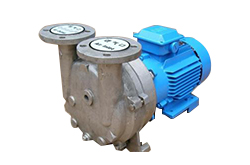 水環(huán)真空泵泵軸及端蓋故障怎么處理!