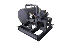 水環(huán)式真空泵是如何排油的