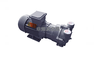 2BV真空泵轉(zhuǎn)速過低的原因